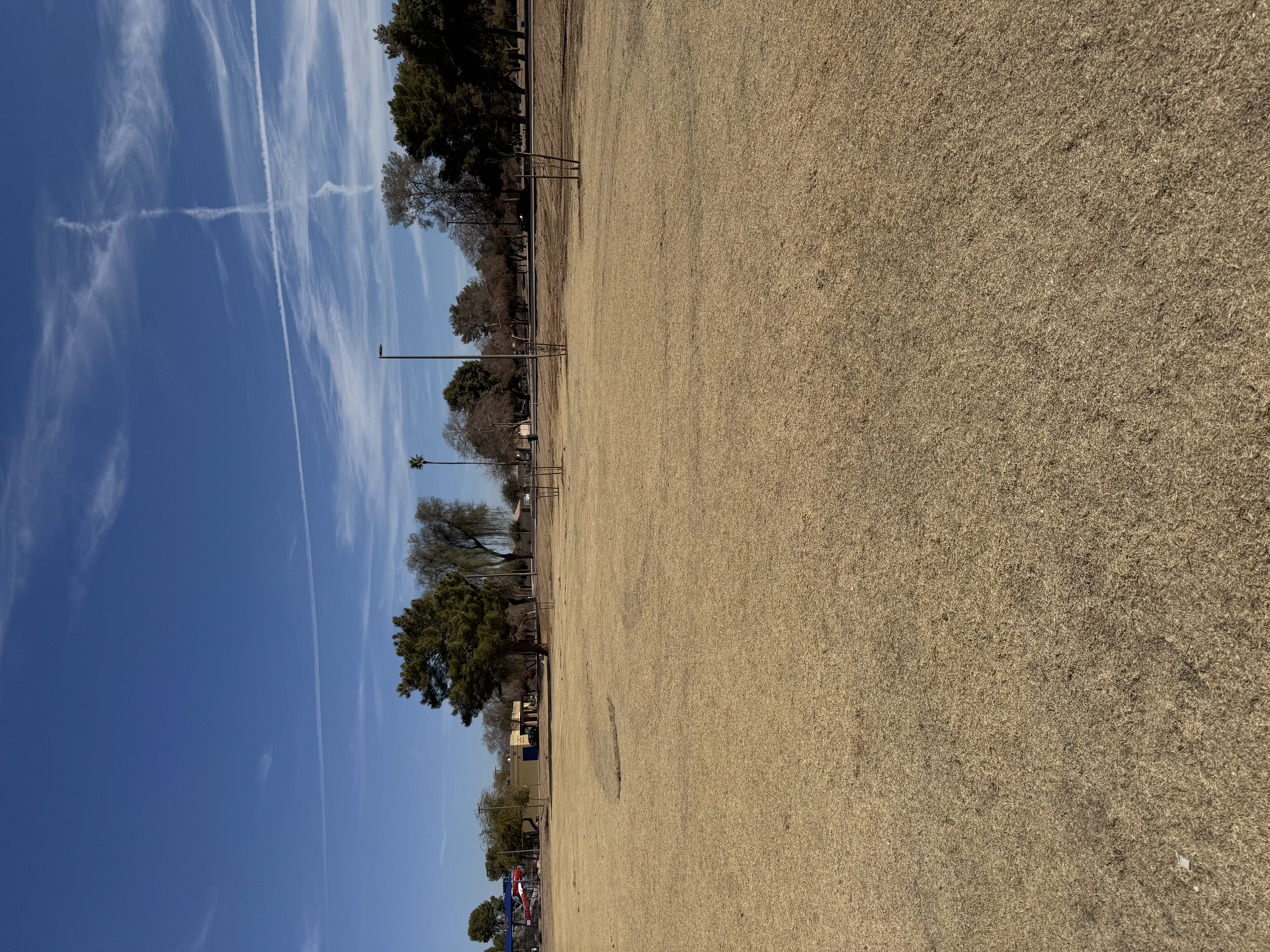 A wide view of a city park with green grass, trees, and people enjoying the space